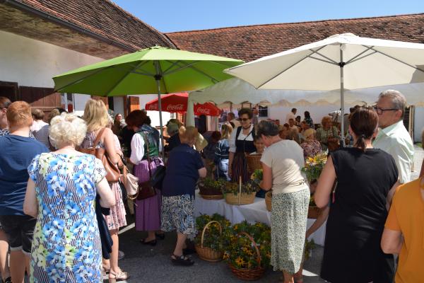 Kräuterstand beim Kulturcafé